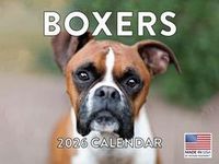 Boxers 2026 Calendar