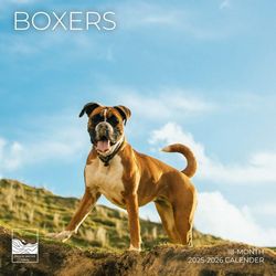 Boxers 2026 Calendar
