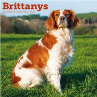 Brittanys 2026 Wall Calendar
