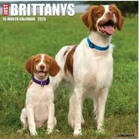 Just Brittanys 2026 Wall Calendar
