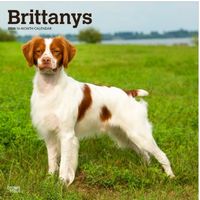 Just Brittanys 2026 Wall Calendar
