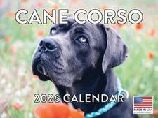 Cane Corso 2026 Calendar