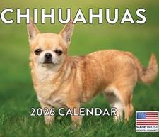 Chihuahuas 2026 Calendar