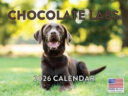 Chocolate Labs 2026 Calendar