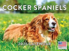 Cocker Spaniel 2026 Calendar