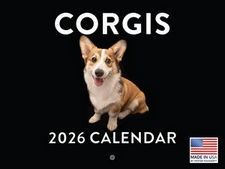 Corgis 2026 Calendar