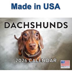Dachshunds 2026 Calendar