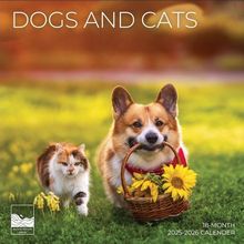 Dogs & Cats 2026 Calendar