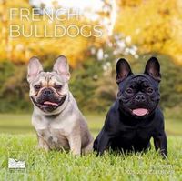 French Bulldogs 2026 Calendar