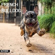 French Bulldogs 2026 calendar