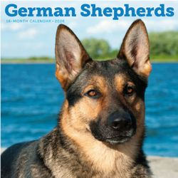 2026 German Shepherd Calendars