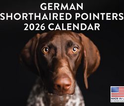 2026 German Shorthaired Pointers Calendar