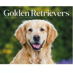 Golden Retrievers 2026 Desk calendar