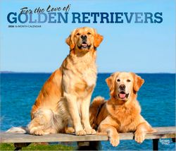 Golden Retrievers 2026 Calendar