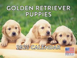 Golden Retriever Puppies 2026 Calendar