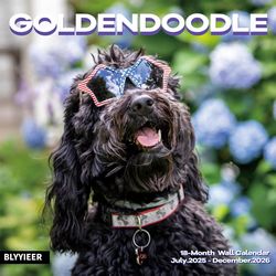 Goldendoodle 2026 Calendar