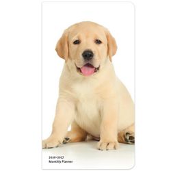 I Love Puppies 2026 Calendar