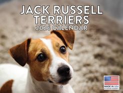 Jack Russell Terriers 2026 Calendar