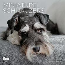 2026 Miniature Schnauzer Calendars