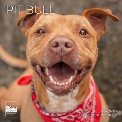2026 Pit Bull Calendar