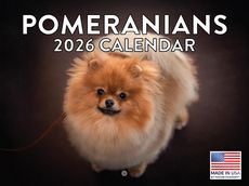 Pomeranians 2026 Calendar