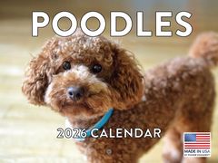 Poodles 2026 Calendar