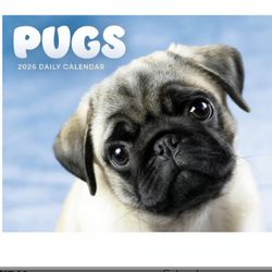Pugs 2026 Desk Calendar