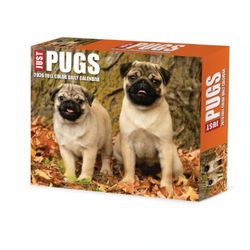 Just Pugs 2026 Desk Calendar