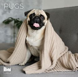 Pugs 2026 Calendar
