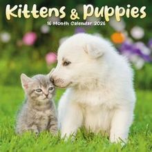 Kittens and Puppies 2026 Mini Wall Calendar