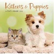 Kittens and Puppies 2026 Mini Wall Calendar