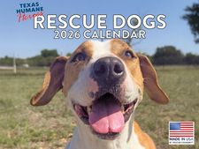 Rescue Dogs 2026 Calendar