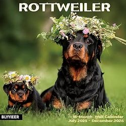 Rottweiler 2025 Calendar