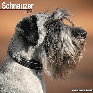 Schnauzer Puppies 2026 Calendar