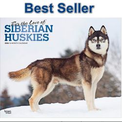 For the Love of Siberian Huskies 2026 Calendar