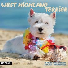 West Highland Terrier 2026 Calendar