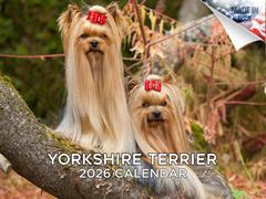 Yorkshire Terriers 2026 Calendar