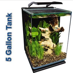 Marineland Portrait Glass LED Aquarium Kit, 5 Gallons, Hidden Filtration,Black