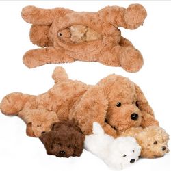 Mommy Labradoodle with Four Puppies