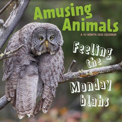 Amusing Animals Calendars