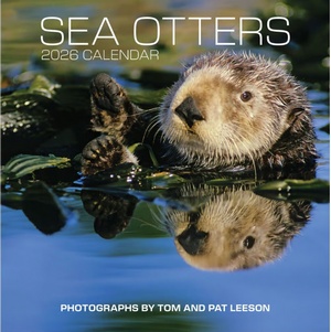 2026 Sea Otters Calendar