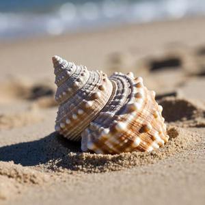 Seashells Calendars