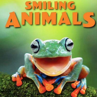 Smiling Animals Calendars