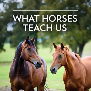 What Horses Teach Us Calendars