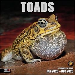 Toads 2025 Calendar