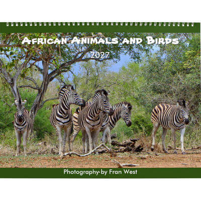 African Animals and Birds 2027 Calendar