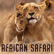 African Safari 2026 Calendar