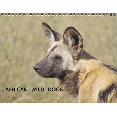 2027 African Wild Dogs Calendars