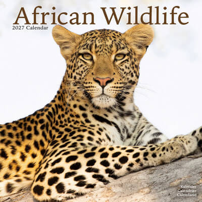 2027 African Wildlife Calendars