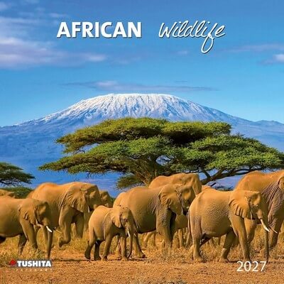 2027 African Wildlife Calendars